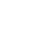 Icon Whatsapp